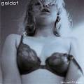 bob-geldof-2001-sexx120