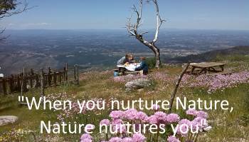 nurture-nature-quote