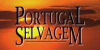 portugal-selvagem-yt