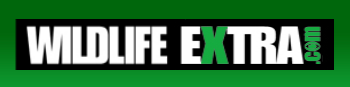 wild-life-extra idx