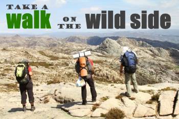wild-side-take-walk