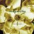 1999_Magnolia